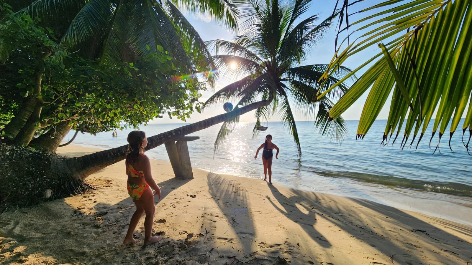 666a09bd-91fe-4b4f-8bcc-064636837882