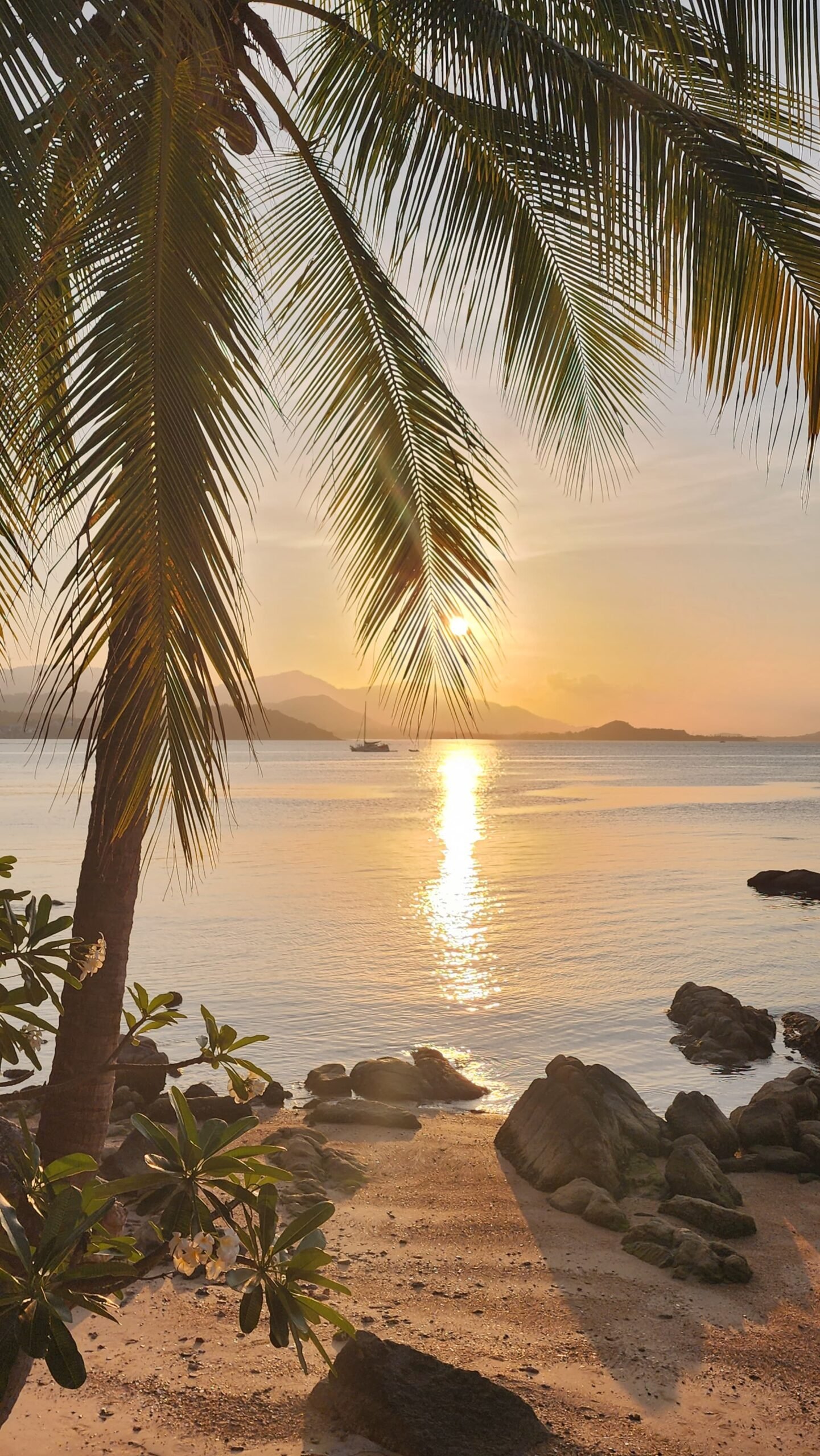 99c309b1-9617-45a2-8f07-b7b5facee117